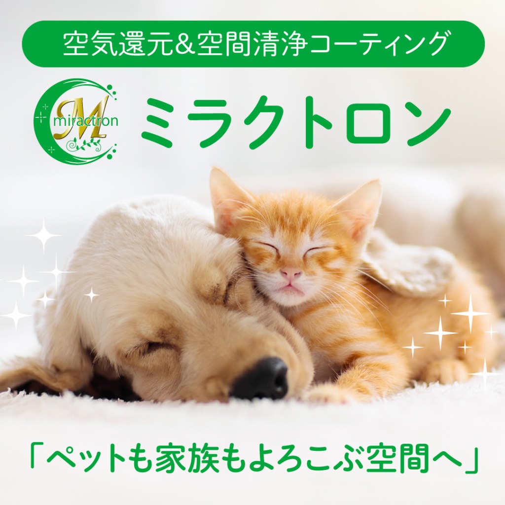 250530 ミラクトロン画像